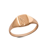 14k gold signet ring - Goldy jewelry store